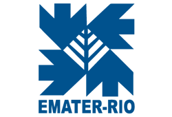 ematerrio